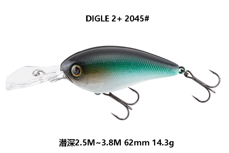 DIGLE 2  2045 