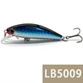 LB5009