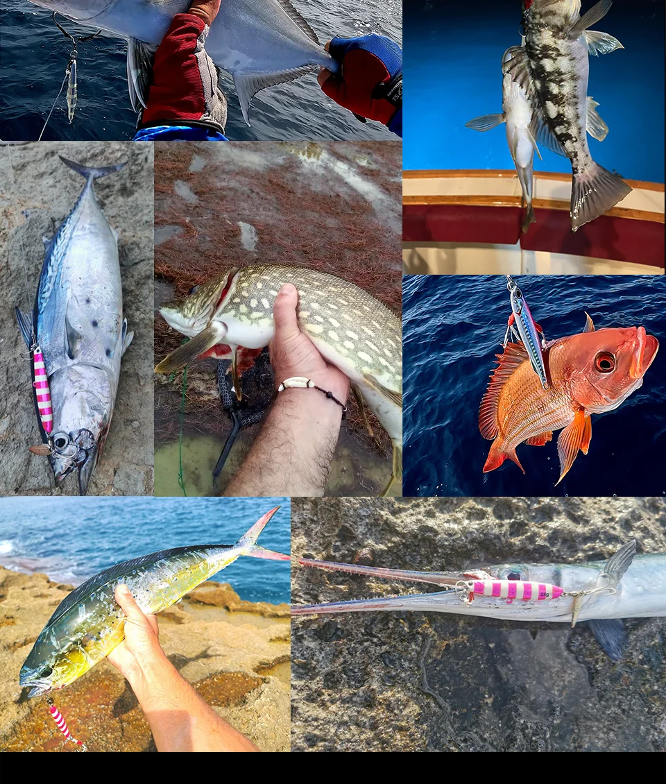 Imágenes de peces que tienen un hombre