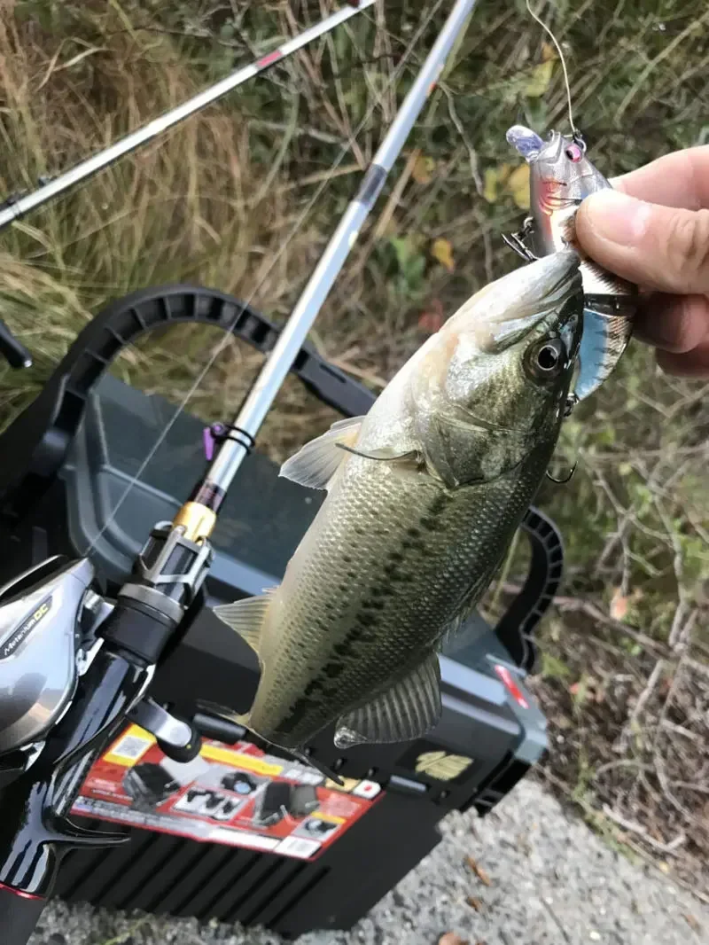 ¡Experimenta la emoción de la pesca con esta impresionante captura!