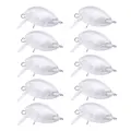 10PCS