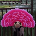 Rose-White Right