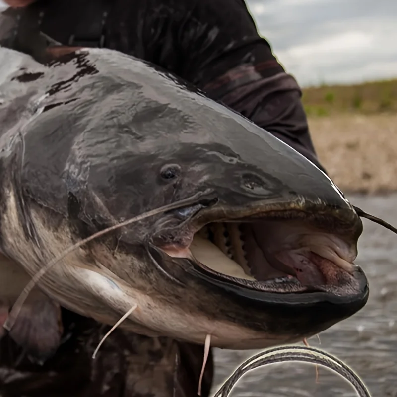 Plataformas de bagre con flotador ajustable para pesca fondo - imagen 2