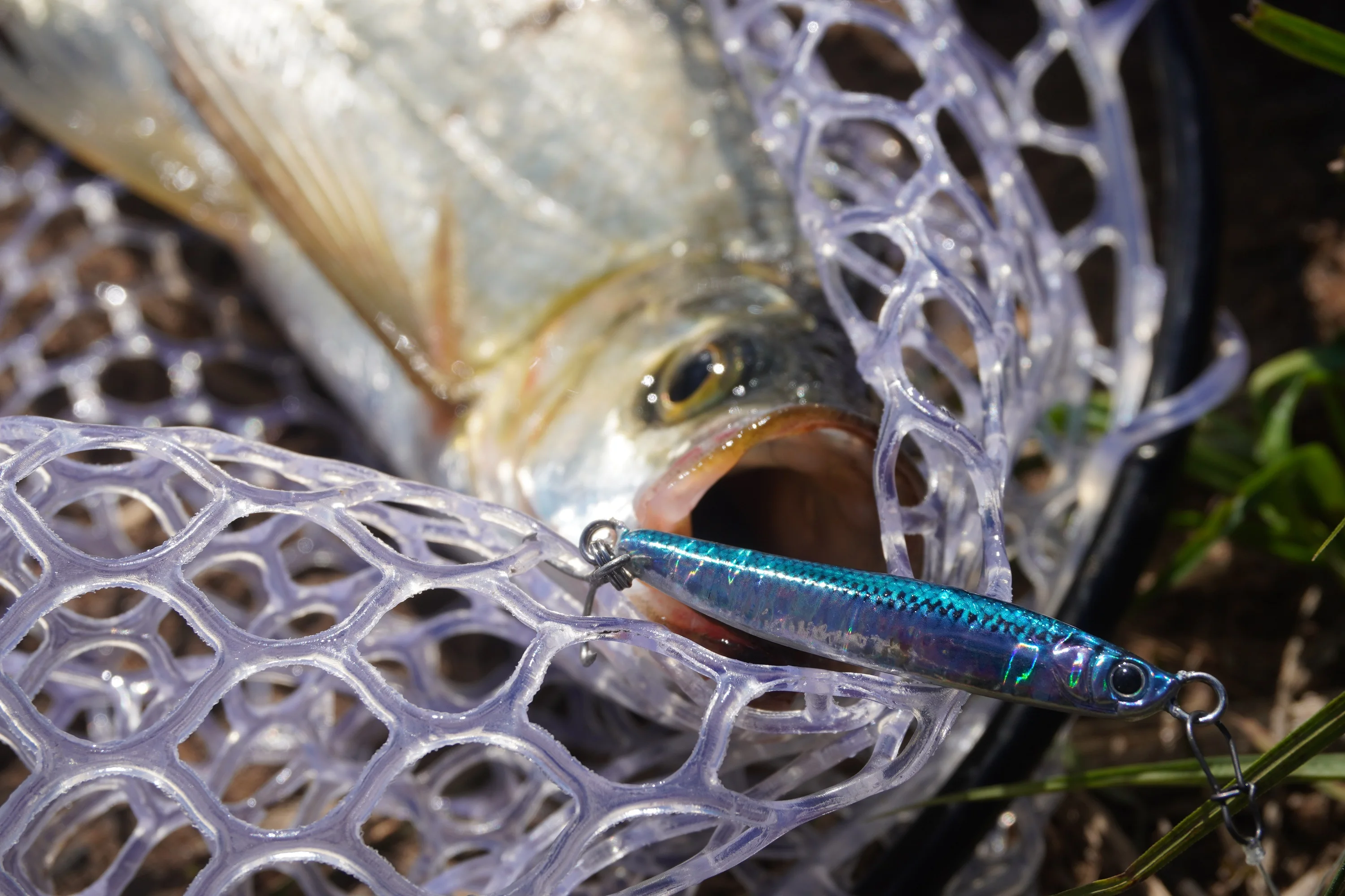 TK biomimético Tieban Road Subbait KOMA METAL Road Subbait para caballa española, importado de Japón, 12G, 15g, 30g - imagen 3