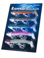 5pcs  28g