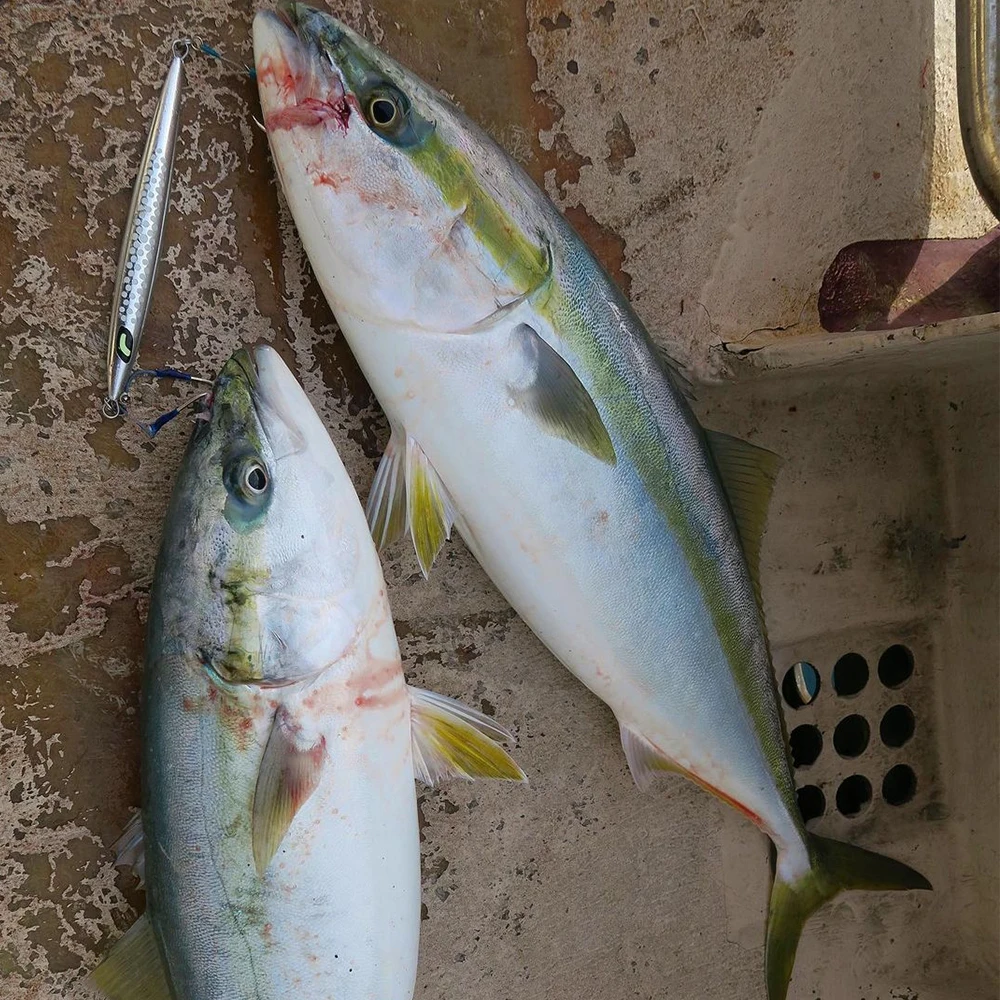 100g150g200g250g300g plantilla de Metal Shore Jigging Pebble Stick cebo agua salada Vertical señuelo de pesca de aguas profundas atún Marlin Wahoo Mahi - imagen 5