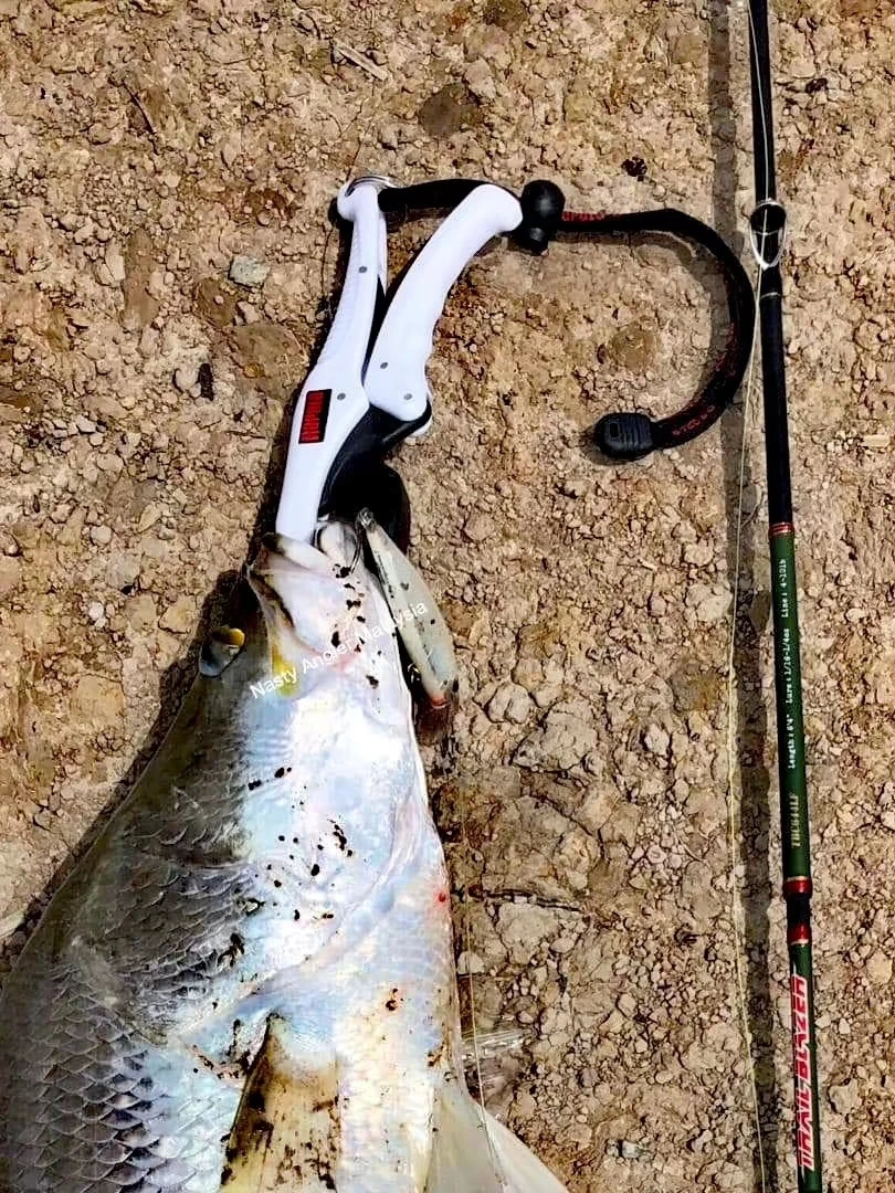 RCD serie RFFG controlador de pescado flotante, abrazadera de elevación de pescado, Sub herramienta, equipo de pesca - imagen 4