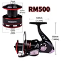 RM500