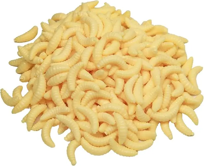 100/200 unids/bolsa 2cm pan gusano silicona cebos artificiales gusano larva suave señuelo de pesca ganchos biomiméticos olor gusanos resplandor de camarones - imagen 4