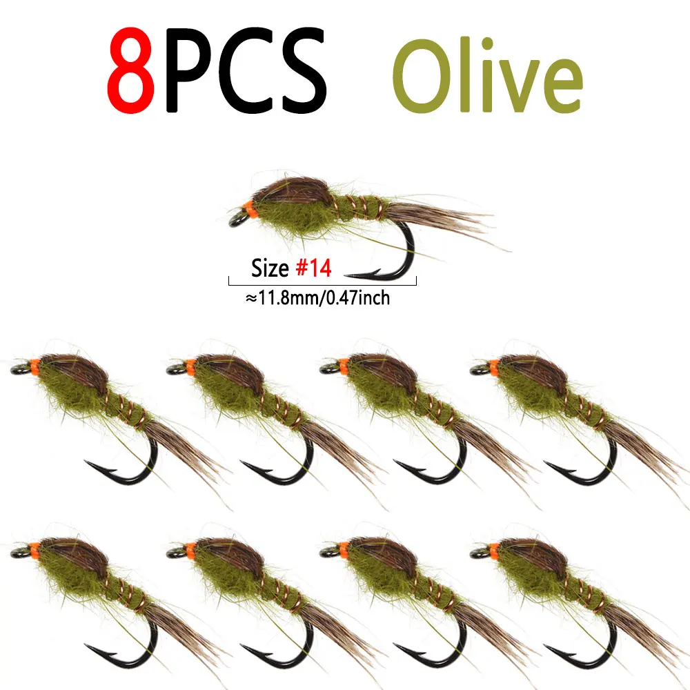 8pcs Olive