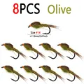 8pcs Olive