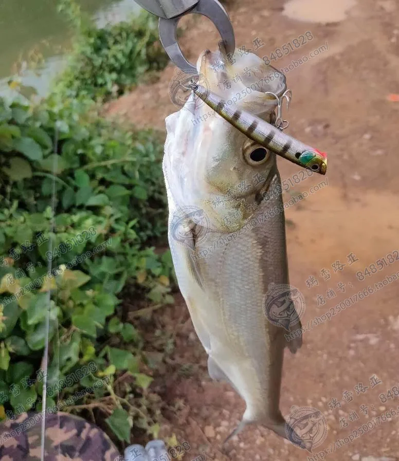 ZIPBAITS lápiz de escalada de onda de microobjeto Delgado, cebo de agua de boca de urdimbre, Japón, POP, 3,6g, 7g - imagen 4