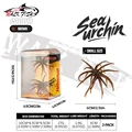 2Pcs small size-E