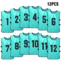 Lake blue 12pcs