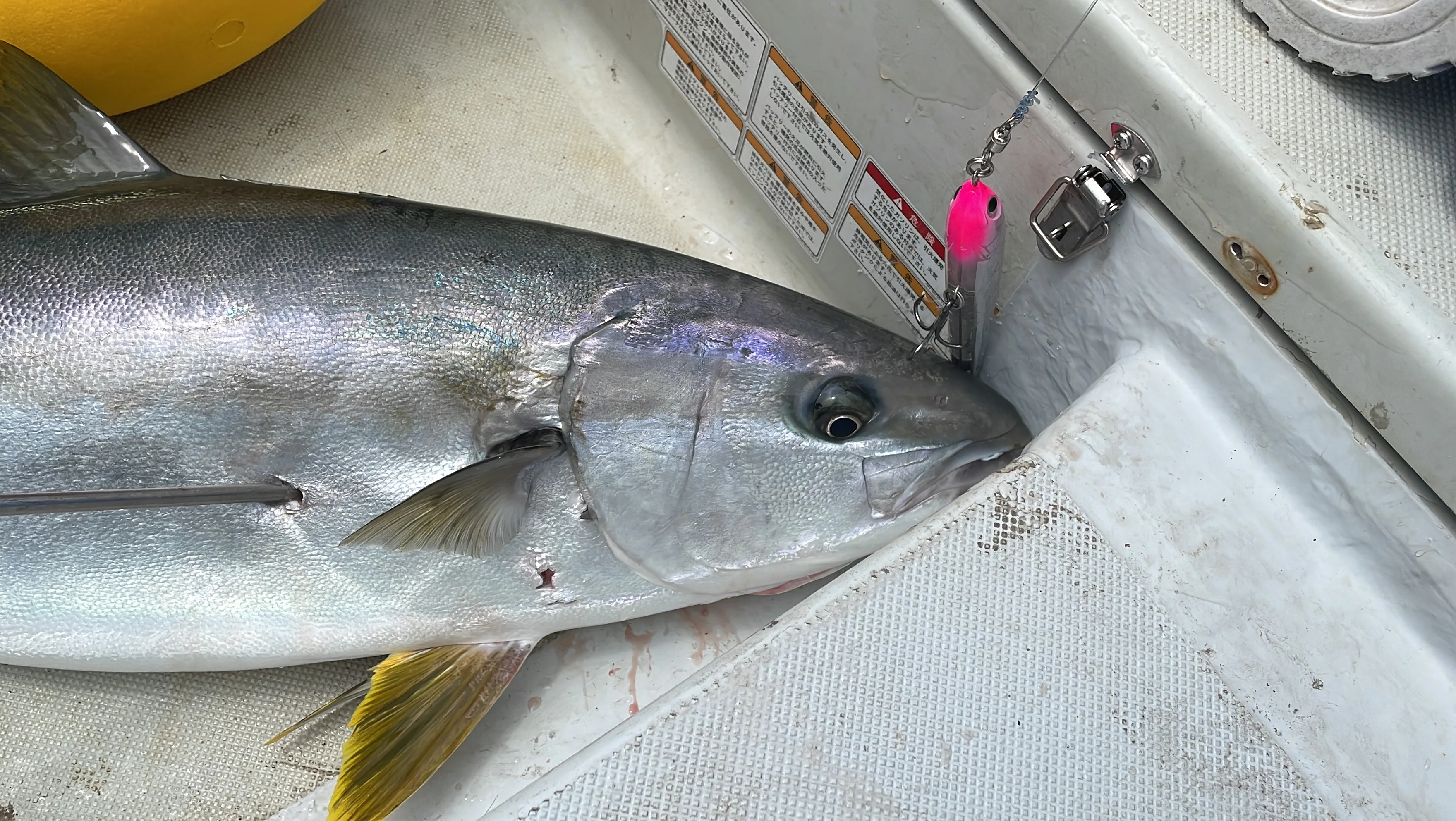 Lápiz flotante de Japón Maria, cebo de pesca en el mar, pistola dorada, amarillo Bonito GT - imagen 4