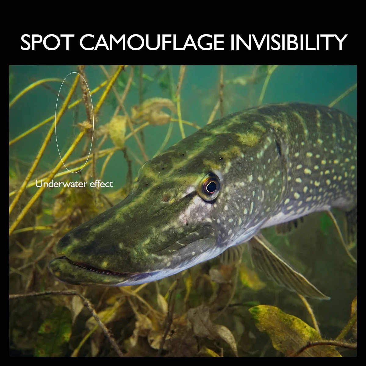 Warknife-sedal de pesca trenzado, 8 hebras, 100M, 300M, 500M, 1000M, 1500M, multicolor, PE, 6LBs -300LBs - imagen 5