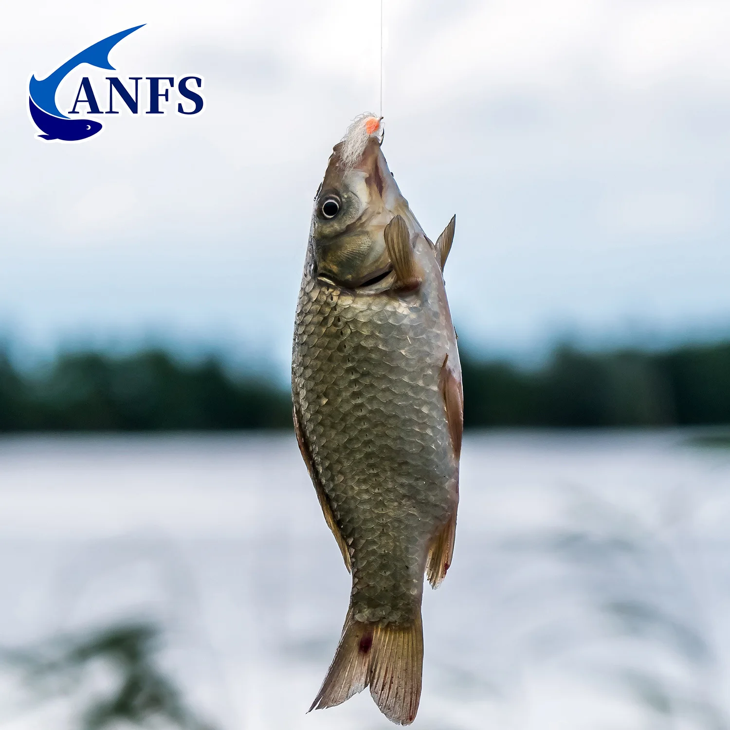 ANFS 4 piezas de mosca de huevo con caja de almacenamiento-cebo de señuelo de pesca con mosca de huevo, cosas de pesca geniales para pesca con mosca - imagen 4