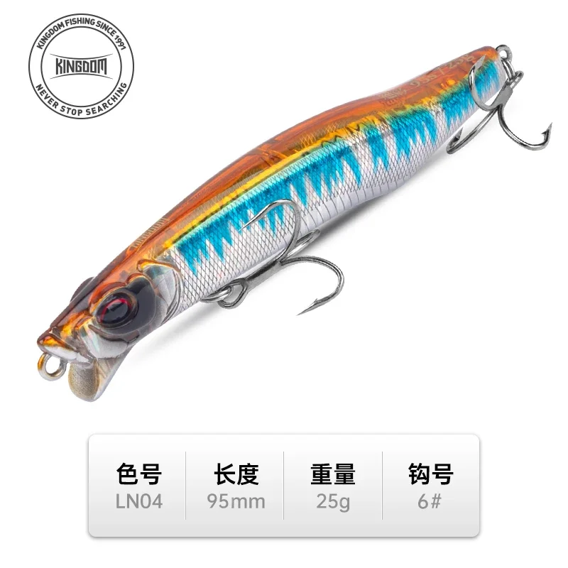 25G-9CM-LN04