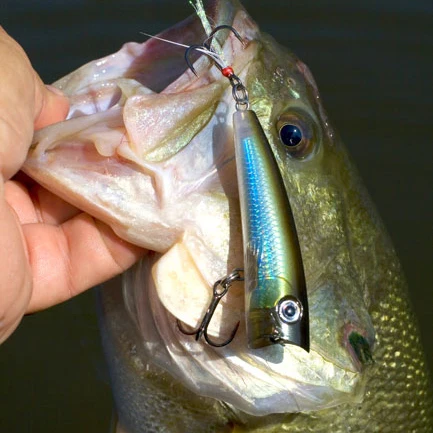 XRP07 agua de surf, camino de escalada ondulada, cebo falso asiático, perca de pescado negro, boca cruzada - imagen 2