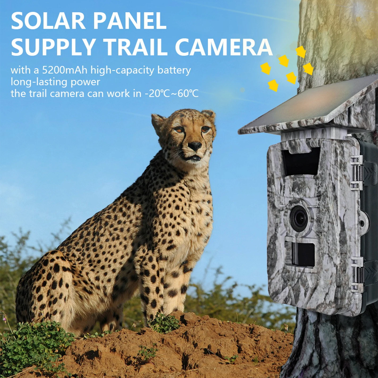 Cámara de Fototrampeo Solar 4K 60MP con WiFi y Visión Nocturna - imagen 4