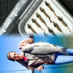 Moscas húmedas biónicas para pesca con mosca – señuelo carpa