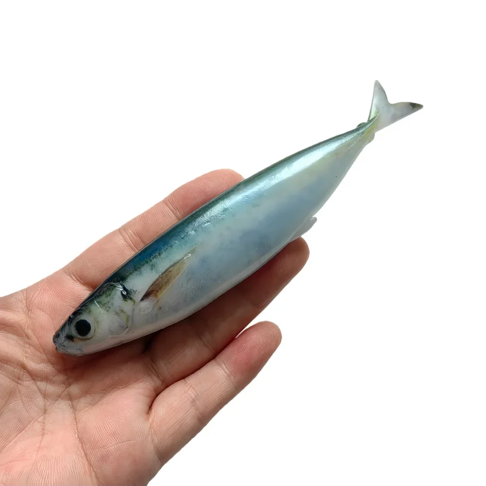 MUKUN-señuelo de pintura de peces vivos 3D, 2 uds., 14,5 cm, 33g, cebo de pesca suave, cola de tijera, pez para atún, lubina, pesca en mar - imagen 5