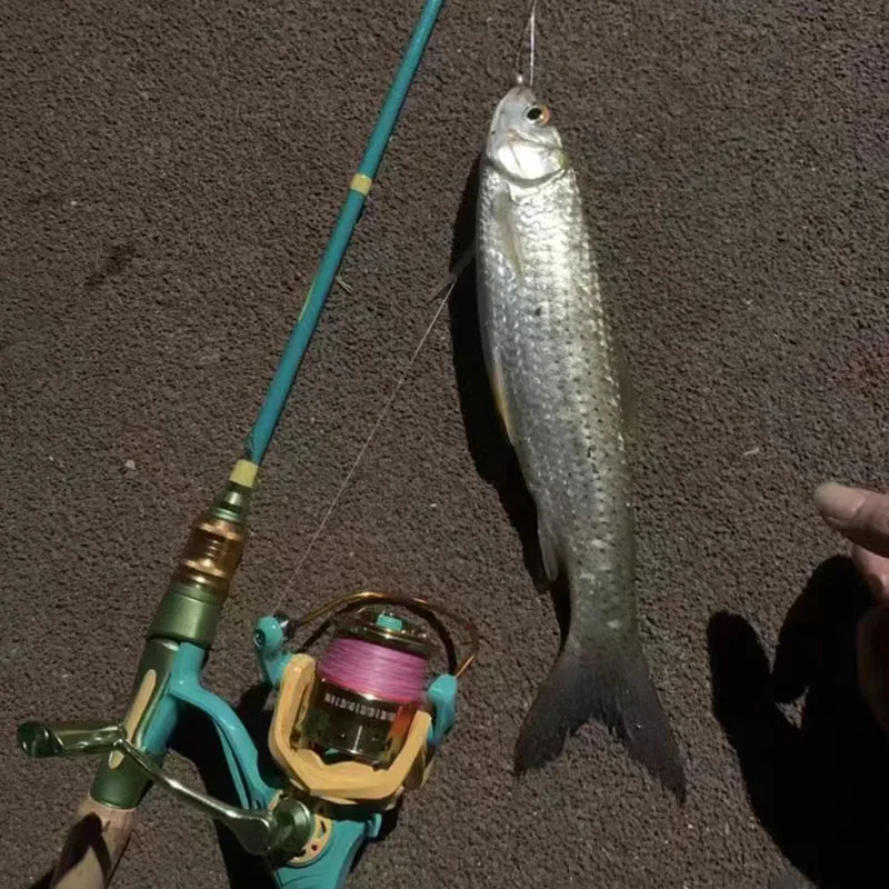 Cebo de alto carbono F tune Cast, peso del señuelo 5-20g, alimentador de surf, plantilla para pesca en Río y Lago - imagen 2