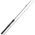 Spinning Rod