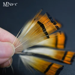 Plumas de faisán dorado MNFT – Crest y rump para montar moscas