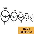 BTBDG-1