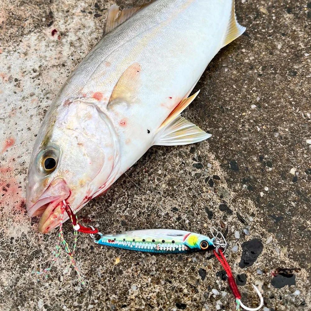 Plantilla de Metal 40g60g80g100g120g150g200g 3D plantilla lenta Shore Jigging Atún señuelo pesca en agua salada Jigpara cebo para Mahi Marlin Wahoo - imagen 3