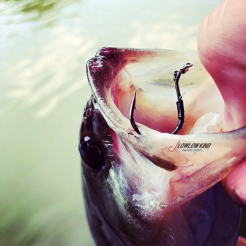 Hayabusa-Juego de pesca NEKO anticolgante FF203, anzuelo invertido loco para gusanos a rayas sin plomo - imagen 4