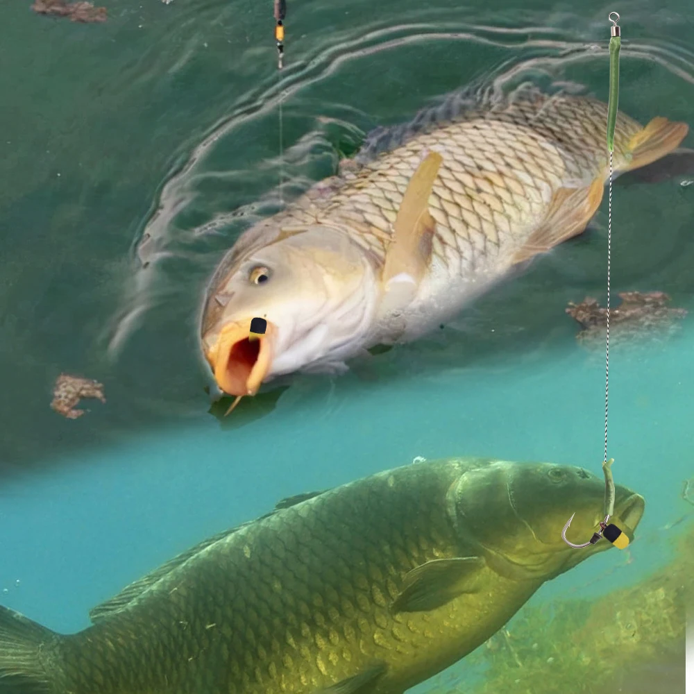 NGB 10 unids/pack Boilies flotantes accesorios de pesca de carpa cebo de pesca de flotabilidad para aparejo de pelo de carpa método alimentador Boilies flotantes - imagen 5