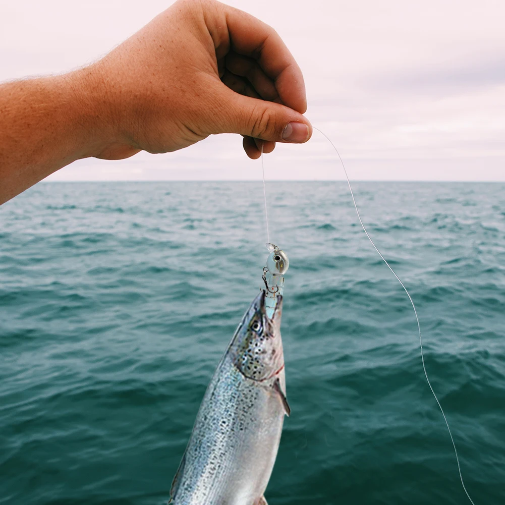 ¡Experimenta la emoción de la pesca con esta impresionante captura!