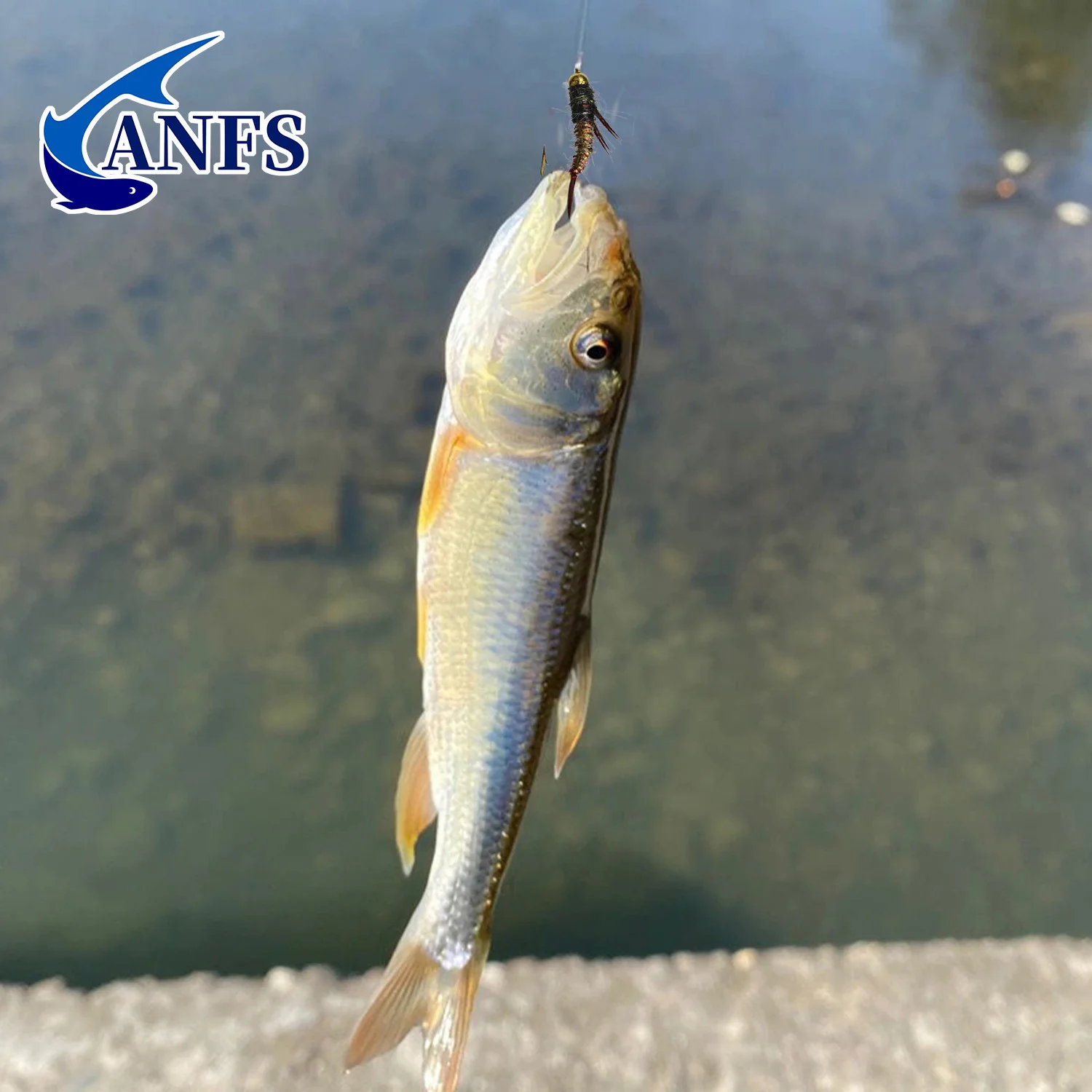 ANFS Kit Moscas Ninfa Cobre para Pesca con Mosca - imagen 4