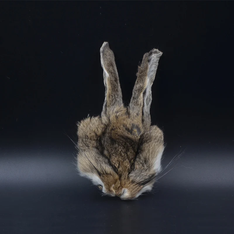 Máscara de conejo Natural con orejas de liebre, materiales de atado de moscas de Ninfa, protector de moteado de púas, pelos de conejo, doblaje de piel, trucha, 2 piezas - imagen 2