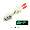 S031-C12