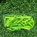 GD15 50PCS 05