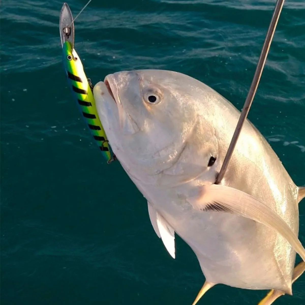Señuelo de buceo profundo Wahoo atún Marlin Trolling Wobbler 17,5 cm 42,5g Hydro Magnum Minnow cebo barco de agua salada aparejos de pesca - imagen 5
