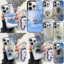 Funda iPhone Baby Harp Seal Sea Lion – Diseño animal marino