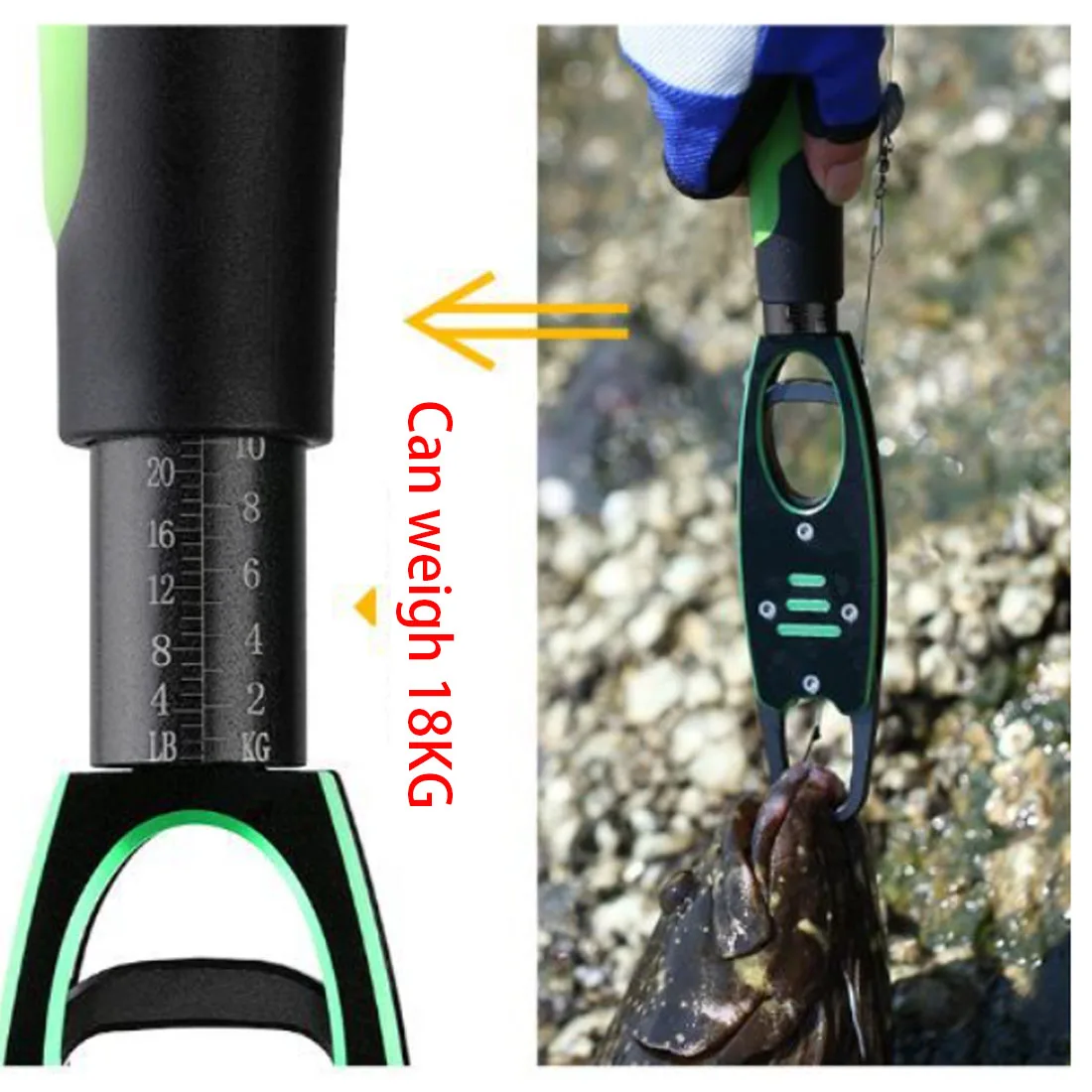 TAKEDO-empuñadura controladora de peces con báscula, pesable, clip multifuncional, pico de pescado, herramienta de pesca, 28,8 cm, 235 g, BL-040 - imagen 4