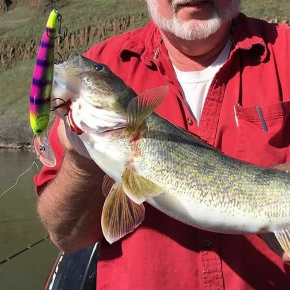 Señuelo Walleye Bandit de 120mm/20g, cebo flotante de arrastre Wobbler, Crankbait, pececillo, Lucio, profundidad de 3-8M, aparejos de pesca de agua salada - imagen 4