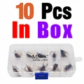 10pcs in box