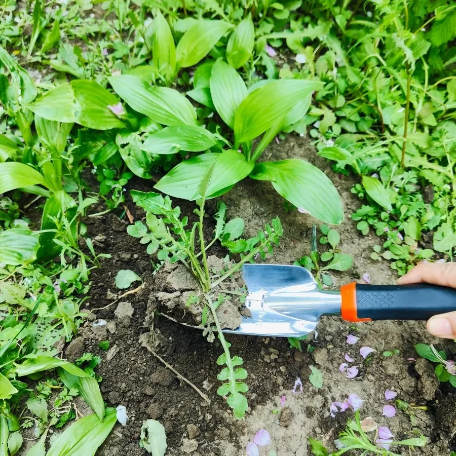 Juego de herramientas de jardinería, pala de jardinería de aleación de aluminio, juego de herramientas para plantar flores, planta en maceta, plantación de flores y vegetales, para e - imagen 2
