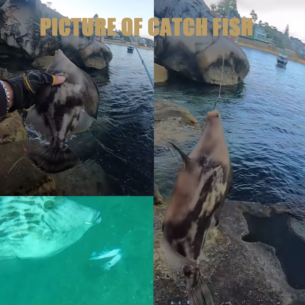 FTK 25-50PCS Gancho de pulpo 6 # -8/0 #   Anzuelos circulares de pesca, anzuelos de pesca compensados con pico de agua dulce, anzuelo de pesca afilado de acero con alto contenido de carbono - imagen 5