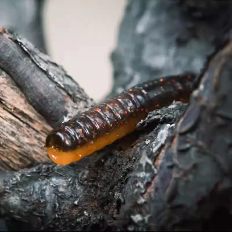 JiShark 2,2/3,0/4,0 pulgadas 8-12 unids/pack SENKO gusano señuelo suave tentación extrema Artificial RAGGLE trabajo señuelo de pesca - imagen 3