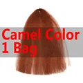camel one bag