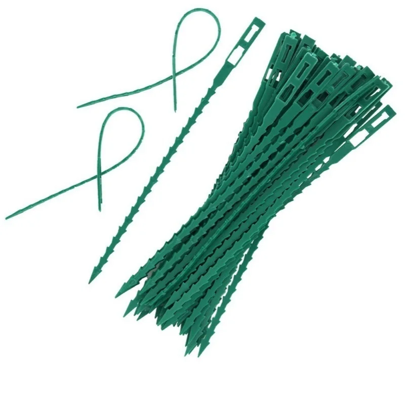 50 Uds. Bridas de plástico ajustables para cables de plantas, bridas para cables reutilizables para jardín, árbol, soporte para escalar plantas, vid, tomate, Clip para tallo - imagen 3