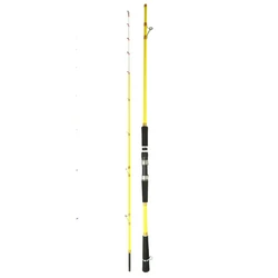 Fuji Caña jigging Surf de carbono para costa y mar