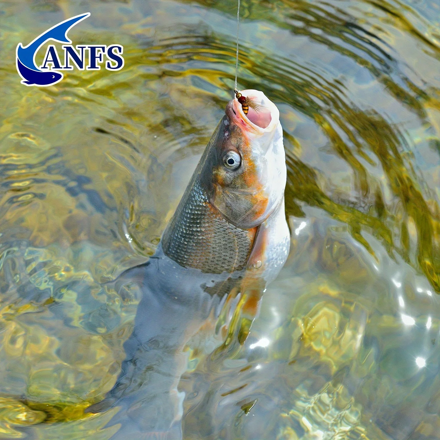 ANFS Juego caja moscas pesca trucha carpa - imagen 3
